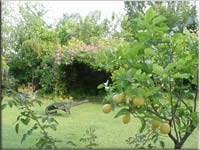 Vista del giardino